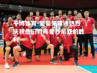 平博体育-葡萄牙球迷热烈庆祝他们对阵爱沙尼亚的胜利