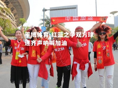 平博体育-红蓝之争双方球迷齐声呐喊加油