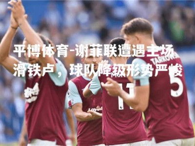 平博体育-谢菲联遭遇主场滑铁卢，球队降级形势严峻