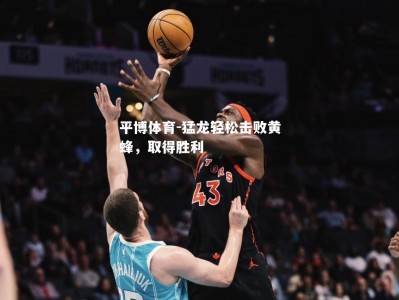 平博体育-猛龙轻松击败黄蜂，取得胜利